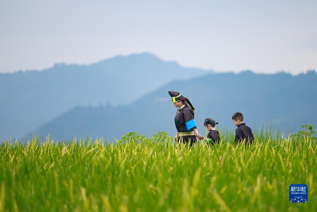 大白菜注册网送500